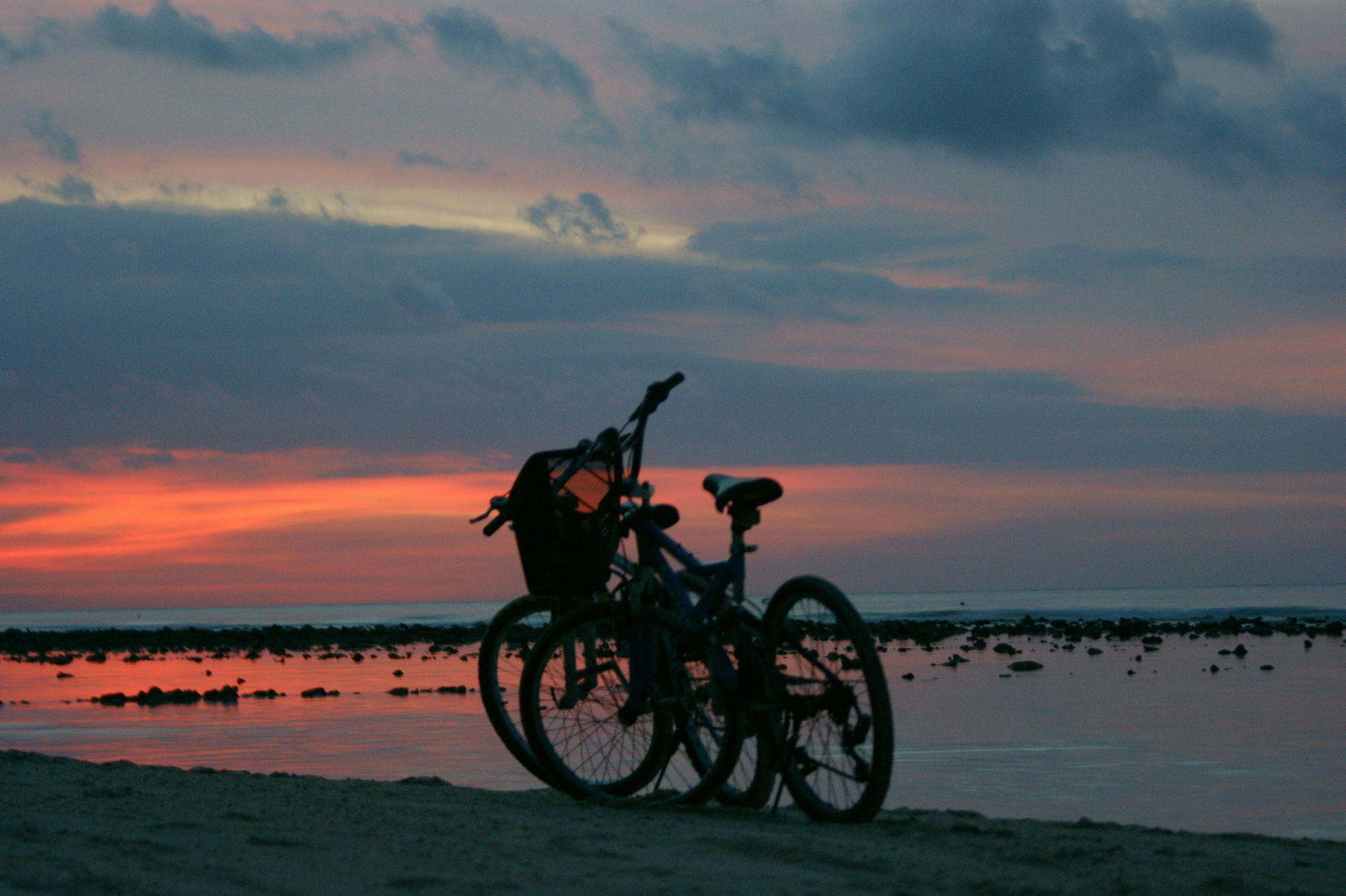 Coconut Garden Resort Gili Trawangan Luaran gambar